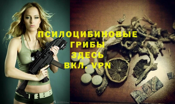 каннабис Арсеньев