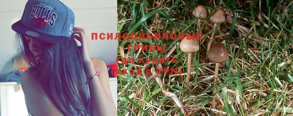 мескалин Аркадак