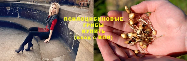 таблы Армянск