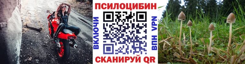 Псилоцибиновые грибы Cubensis  купить наркотик  Мантурово 