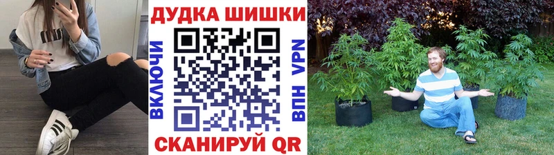 МАРИХУАНА планчик  Мантурово 